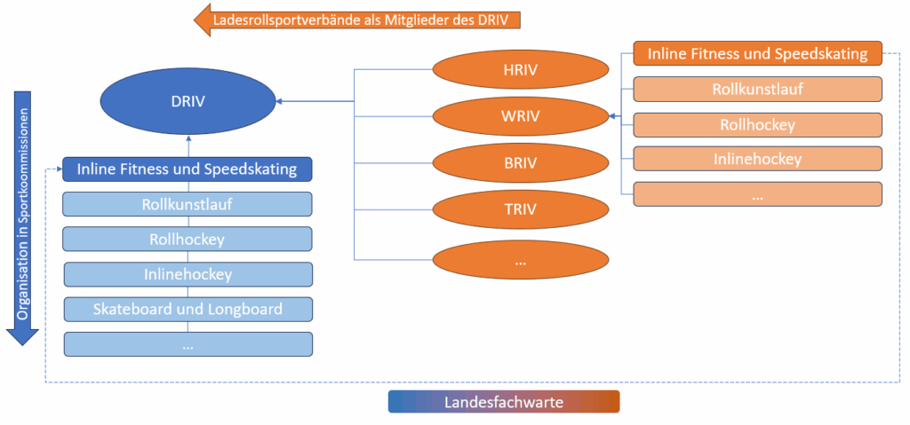 Strukturschema DRIV und Landesrollsportverbände: Die Landesfachwarte sind Teil der Kommission im DRIV