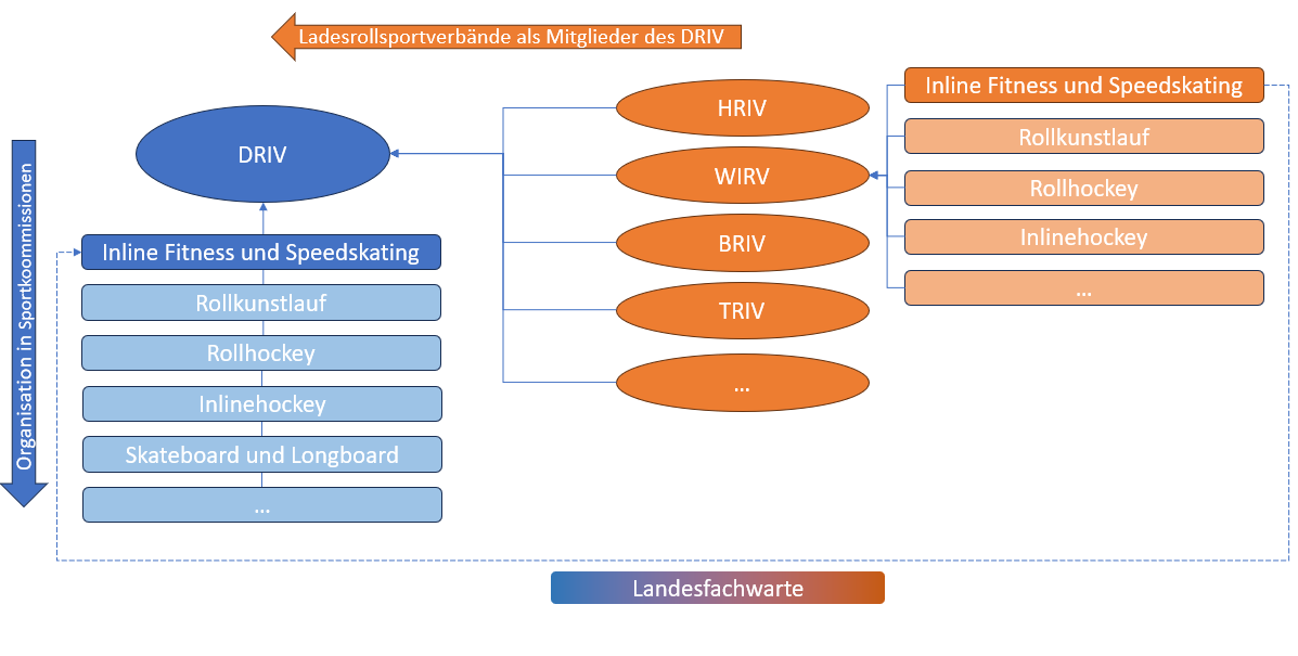Strukturschema DRIV und Landesrollsportverbände: Die Landesfachwarte sind Teil der Kommission im DRIV